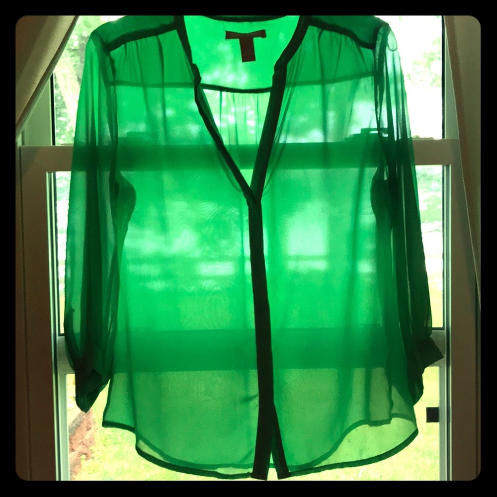 Banana Republic sheer blouse
